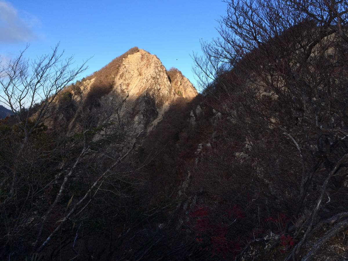 f:id:jkondo:20151103154101j:plain f:id:jkondo:20151103154101j:plain