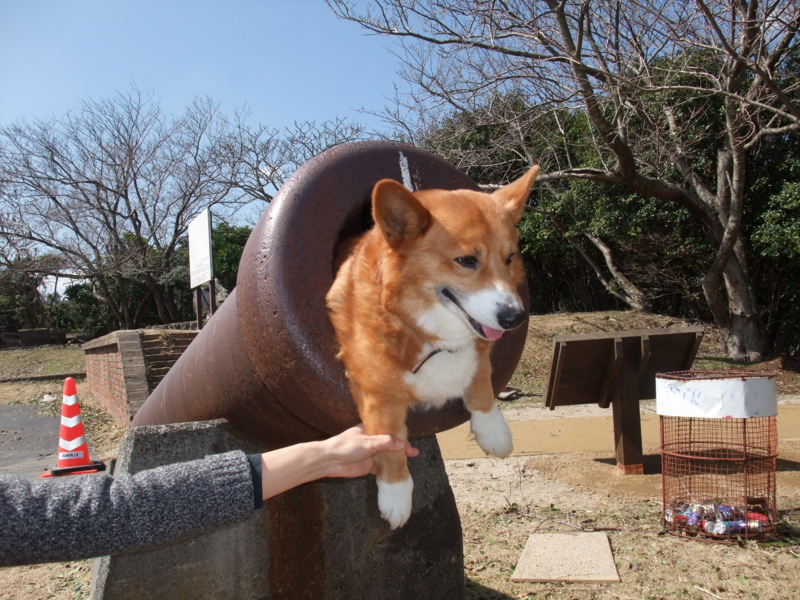 f:id:jkontan:20090315111351j:image