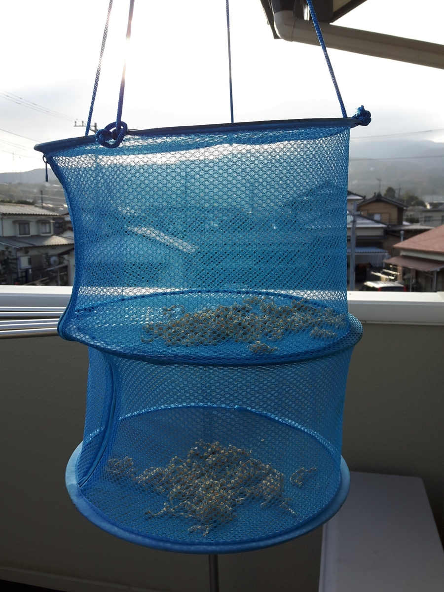 f:id:jlk415:20191220190337j:plain