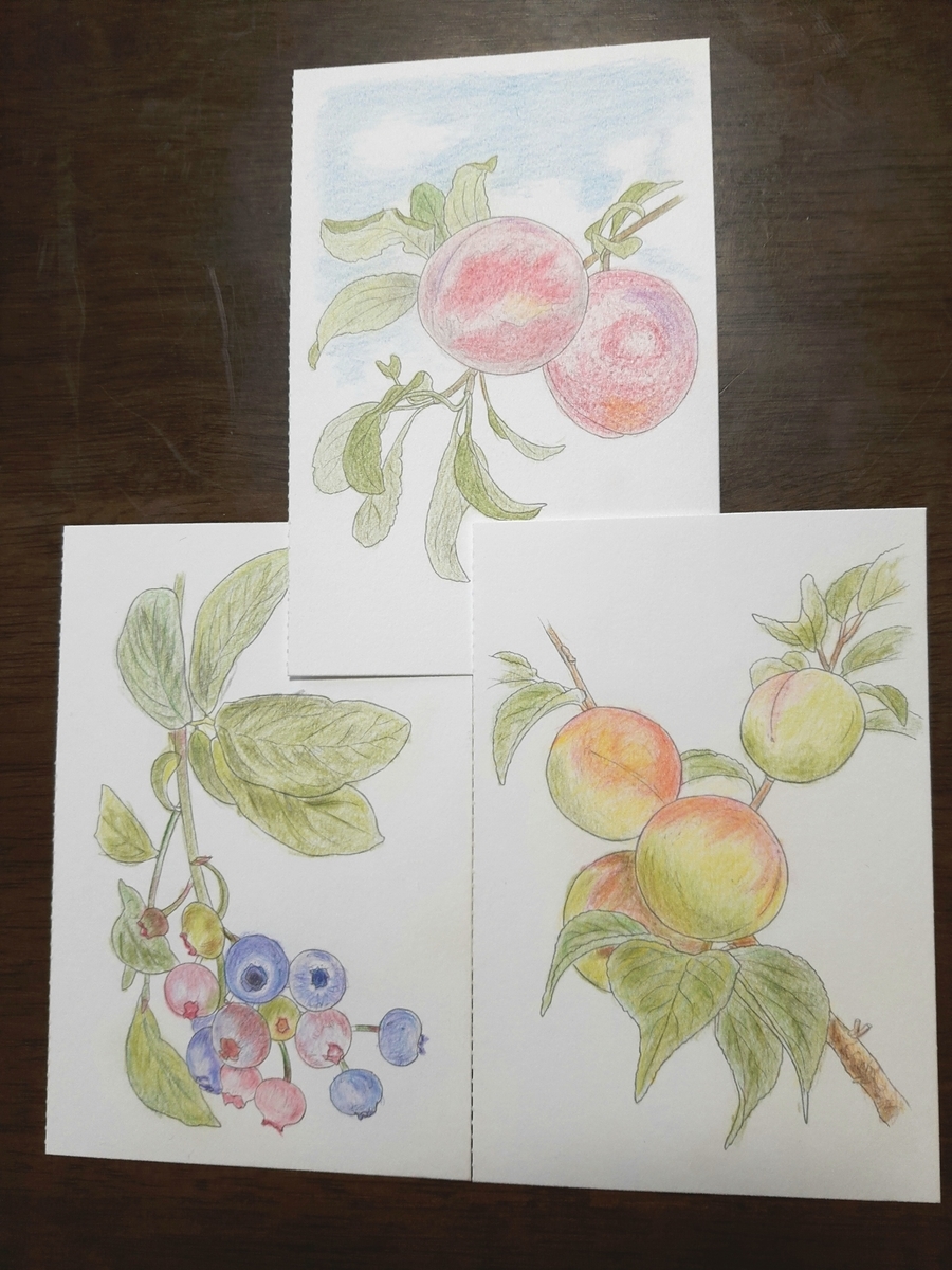 f:id:jlk415:20200225195151j:plain