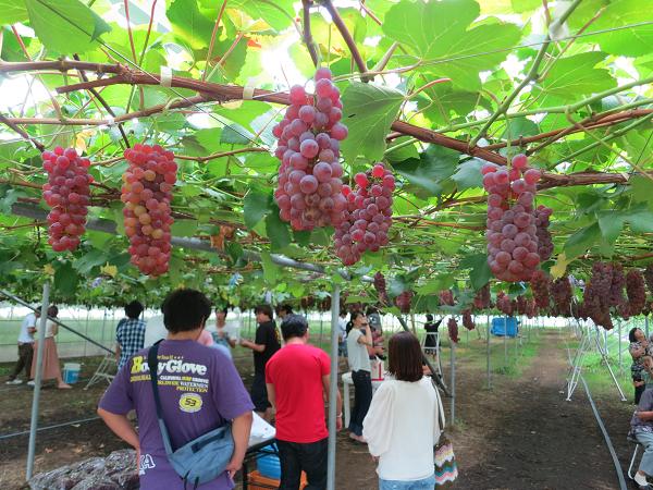 f:id:jls_shounan:20120902103618j:image