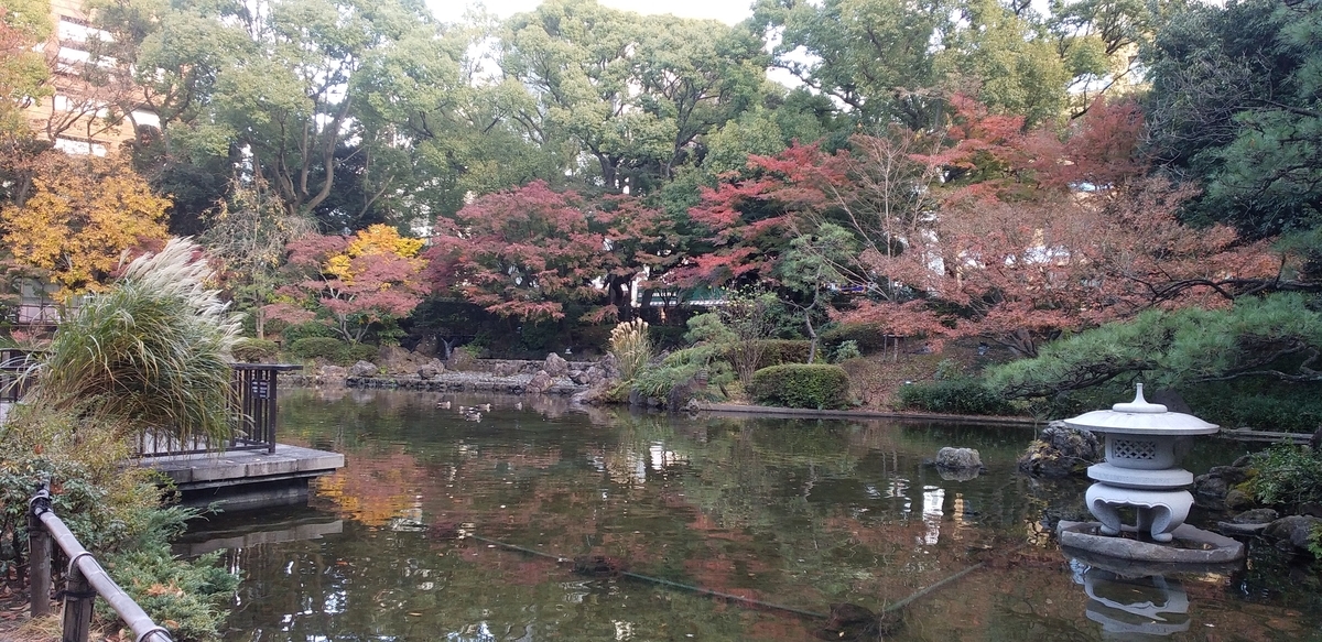 f:id:jmahoroban:20201211145826j:plain