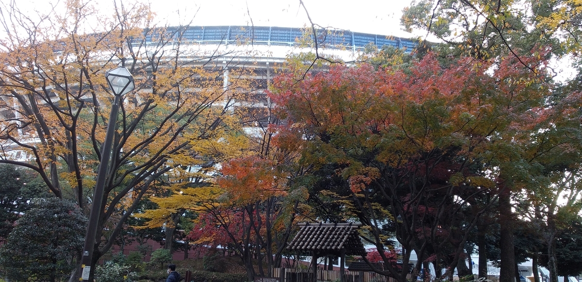 f:id:jmahoroban:20201211150935j:plain