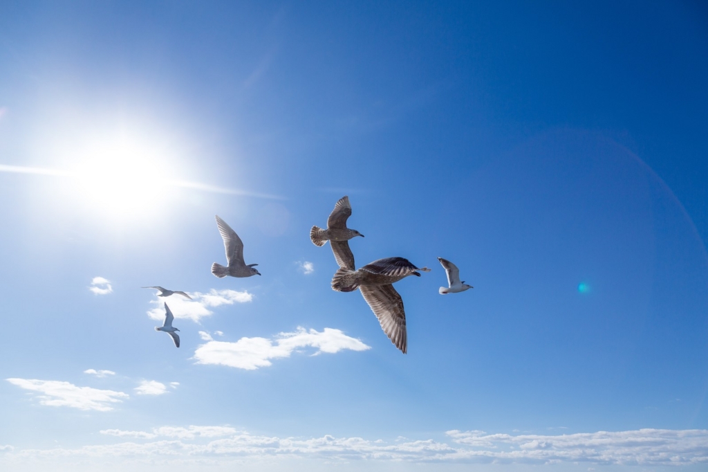 f:id:jmath:20170228182155j:plain f:id:jmath:20170228182155j:plain