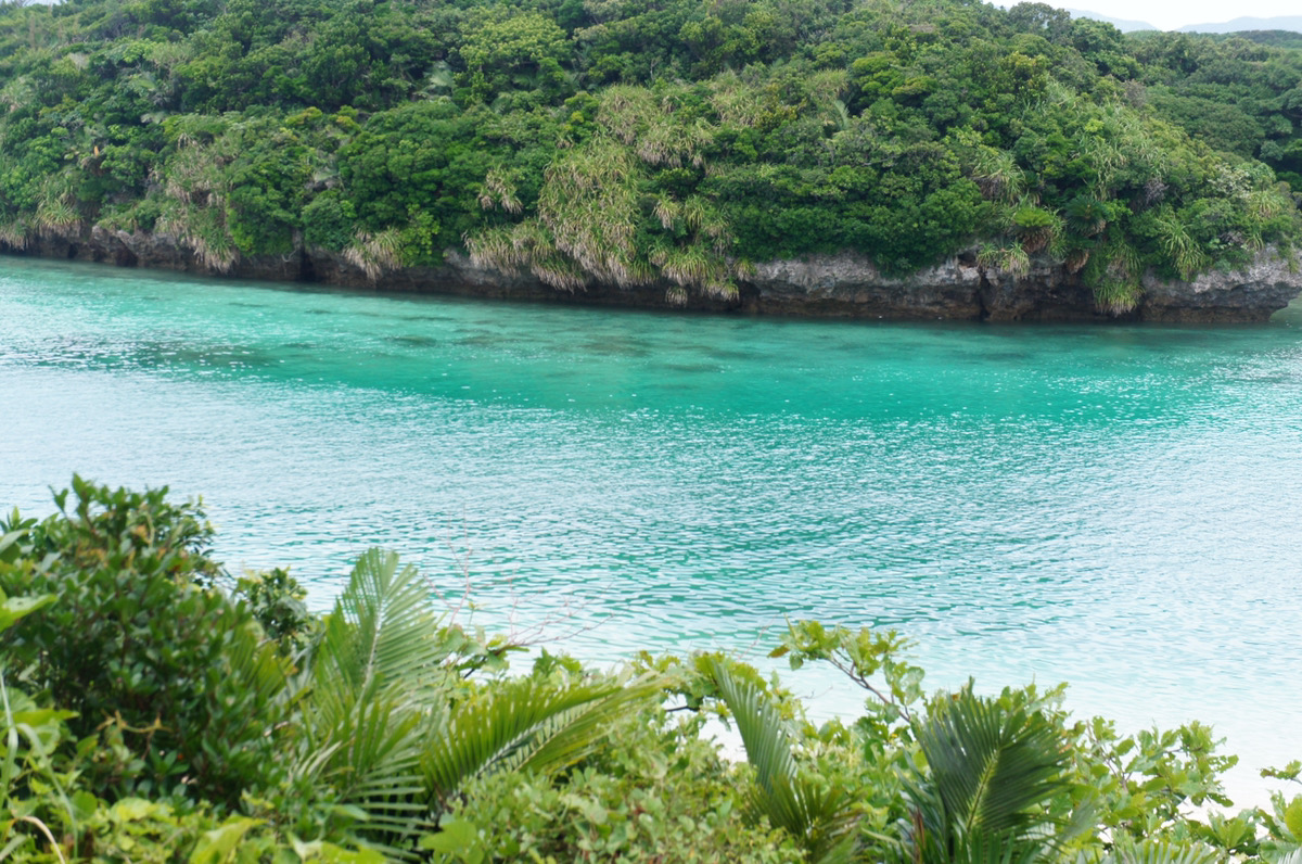 f:id:jmath:20210507101331p:plain