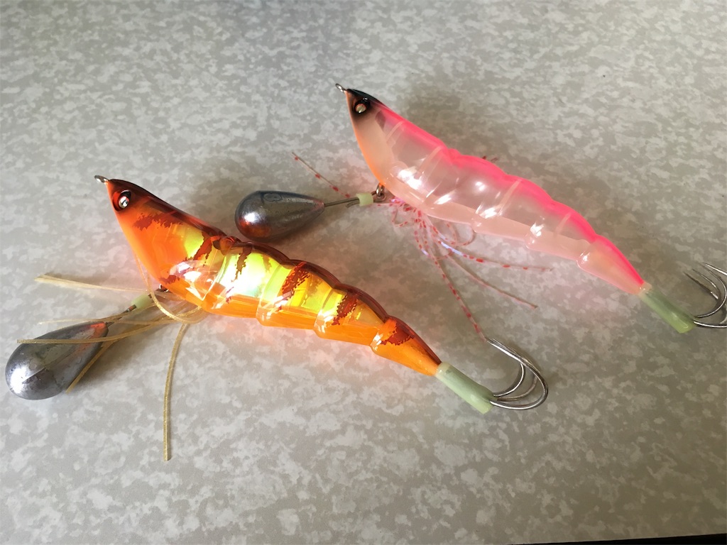 タコ釣り タコが釣りたい7月21日 金 チャリアングラー 思い出の記録