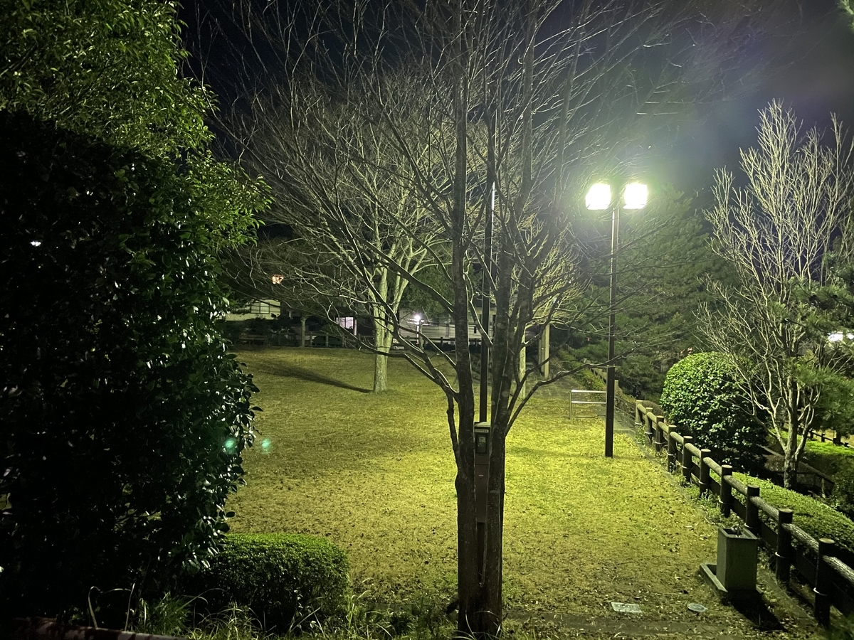 f:id:jn-kodama:20201220150709j:plain