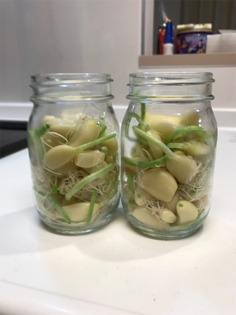 f:id:jna-ss:20190922153936j:image f:id:jna-ss:20190922153936j:image