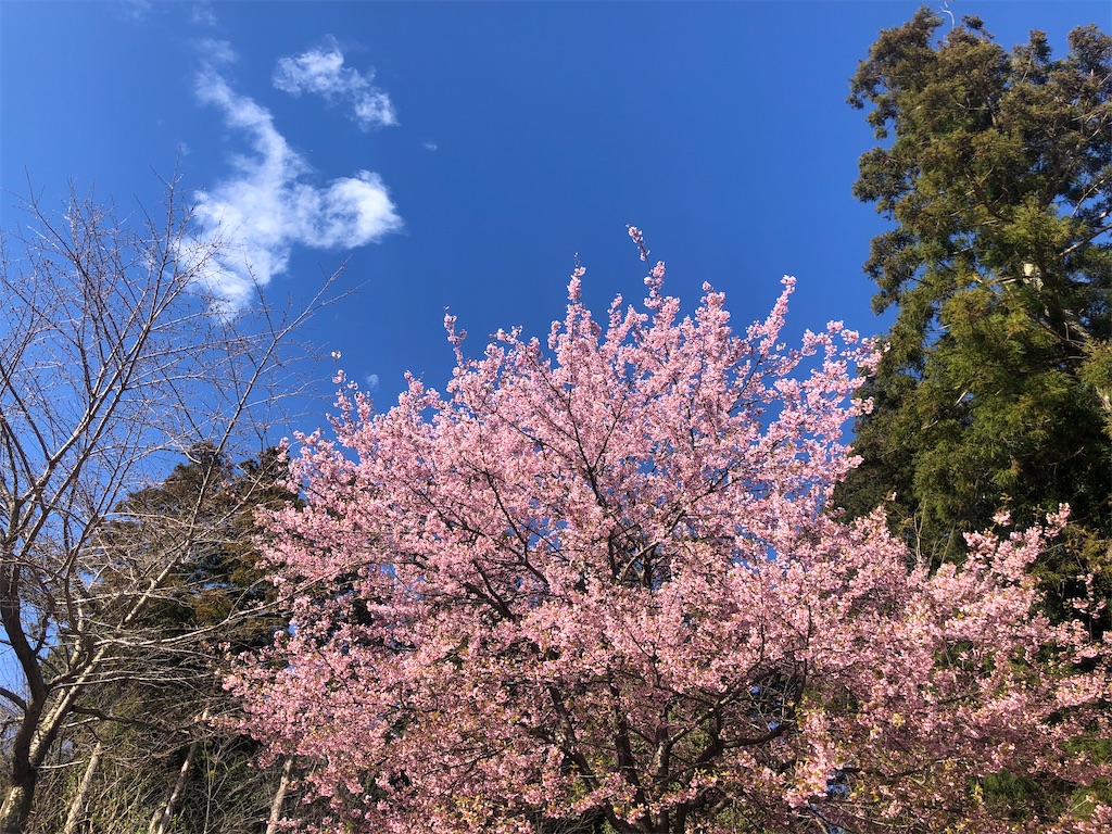 f:id:jnana-shri:20200319110905j:image f:id:jnana-shri:20200319110905j:image