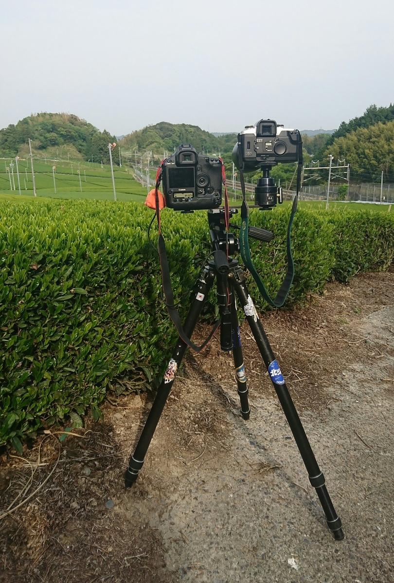 f:id:jnr583-n1:20190615185135j:plain