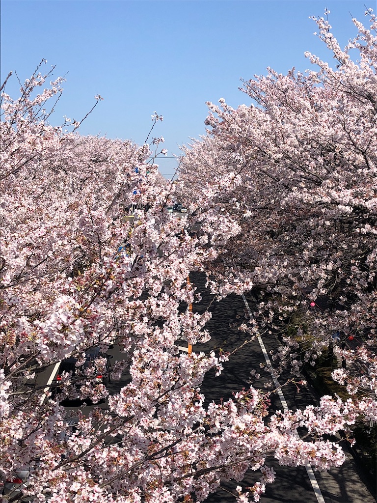 f:id:jnrkkk:20220516231127j:image f:id:jnrkkk:20220516231127j:image