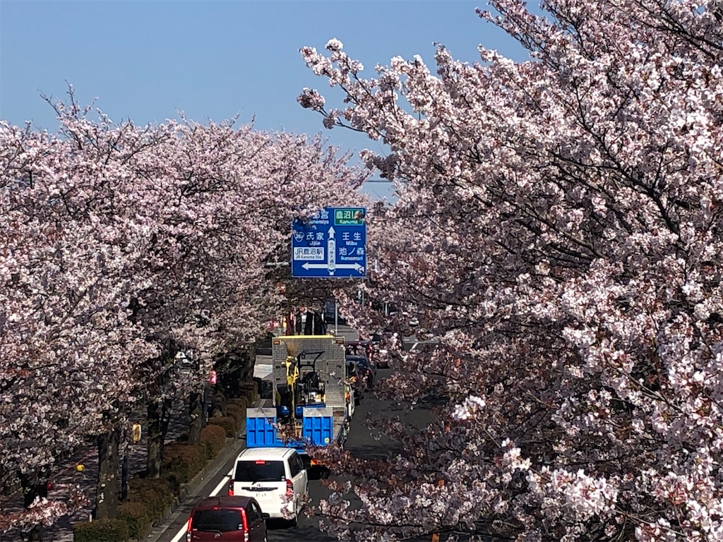 f:id:jnrkkk:20220516231135j:image f:id:jnrkkk:20220516231135j:image