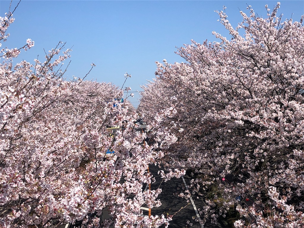 f:id:jnrkkk:20220516231138j:image f:id:jnrkkk:20220516231138j:image