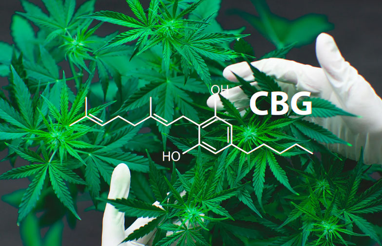 f:id:jnsaoker:20200831161423j:plain