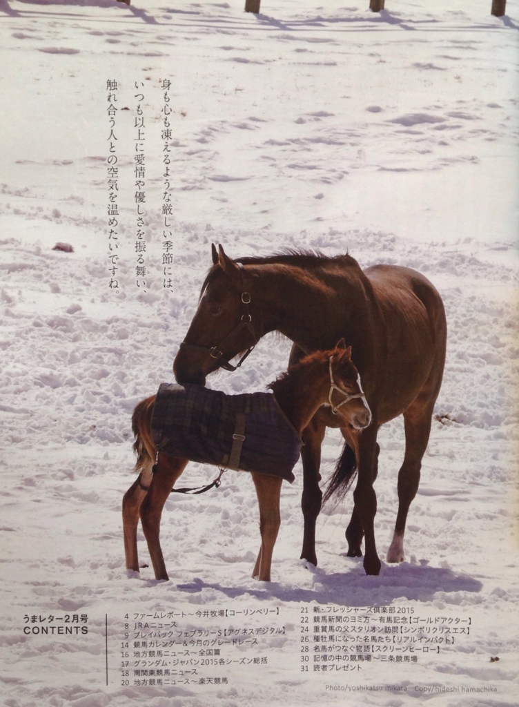 16 02 うまレター 16年02月号 Vol 104 白狸の考現家 ｋｅｉｂａ