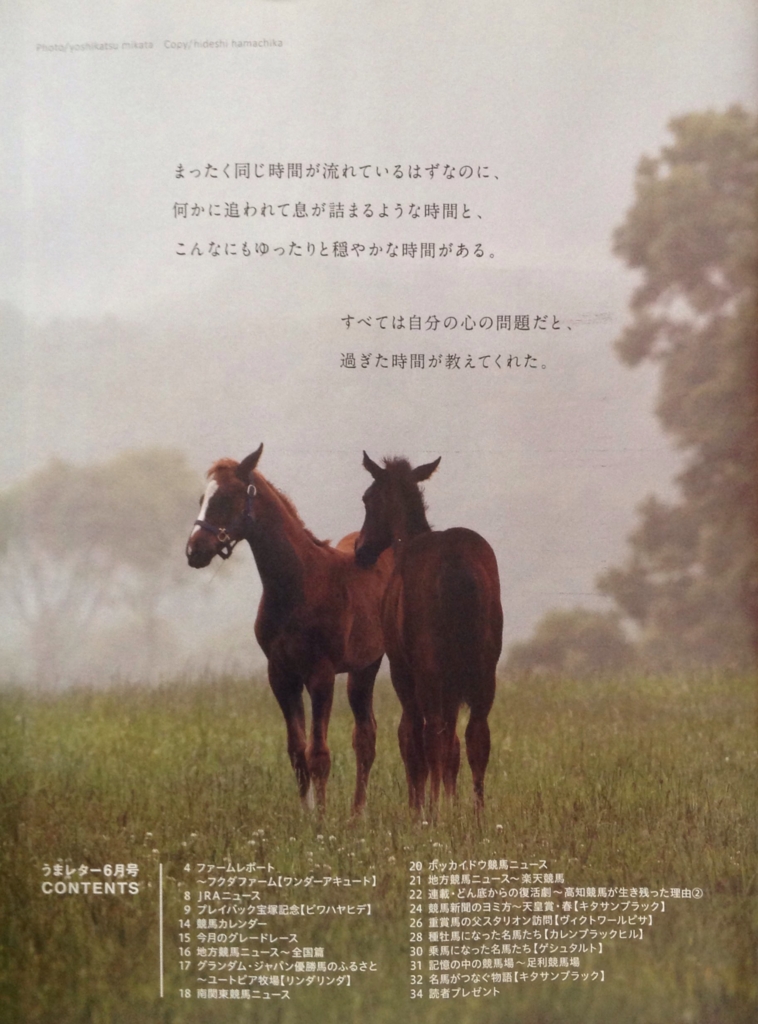 f:id:jnsk_jojo:20160704031226j:plain