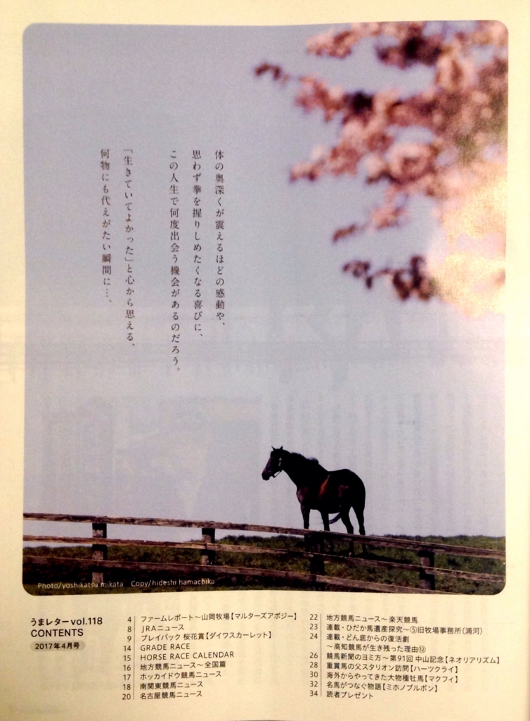 17 04 うまレター 17年04月号 Vol 118 白狸の考現家 ｋｅｉｂａ