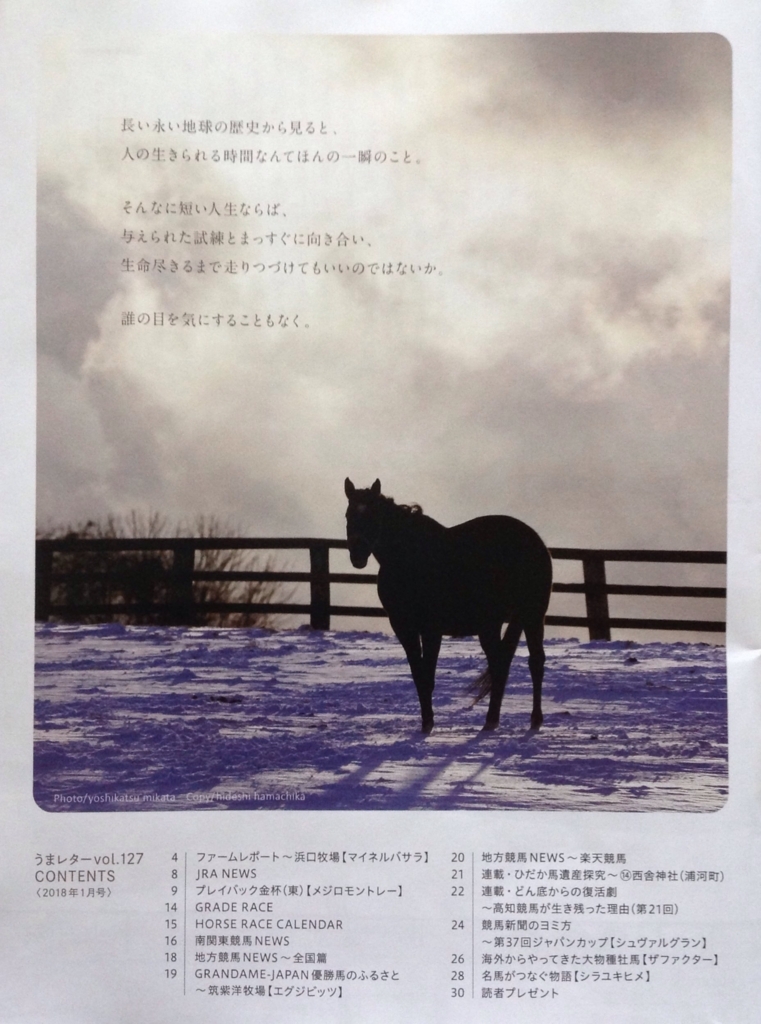 f:id:jnsk_jojo:20180108035203j:plain