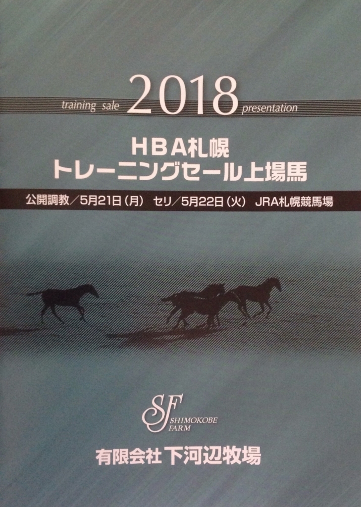 f:id:jnsk_jojo:20180604023446j:plain
