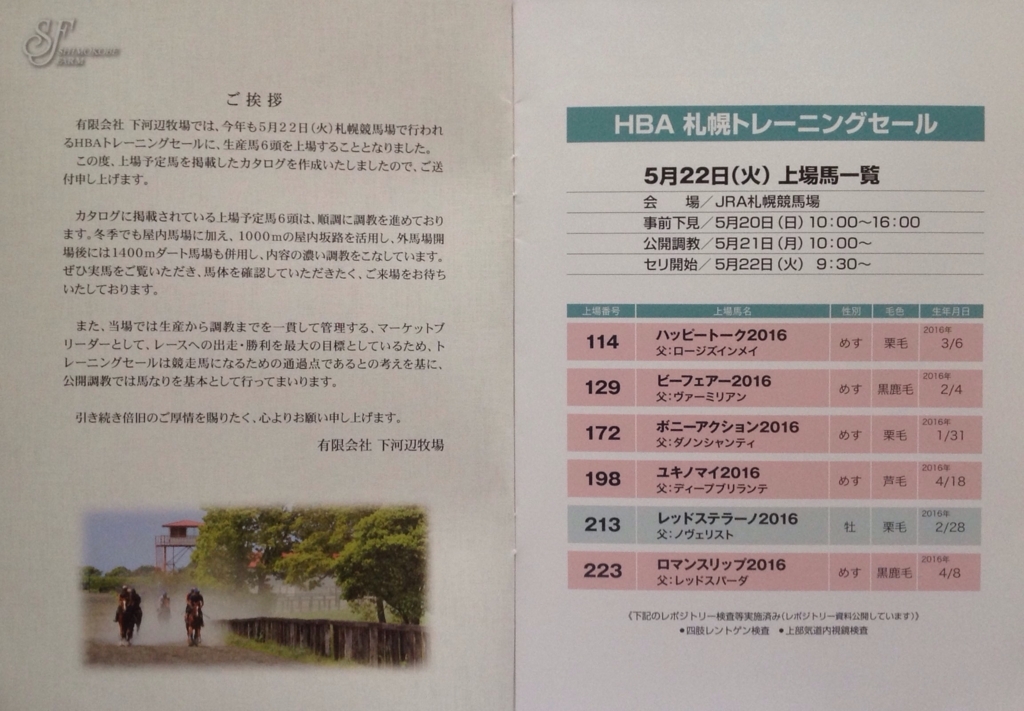 f:id:jnsk_jojo:20180604023457j:plain
