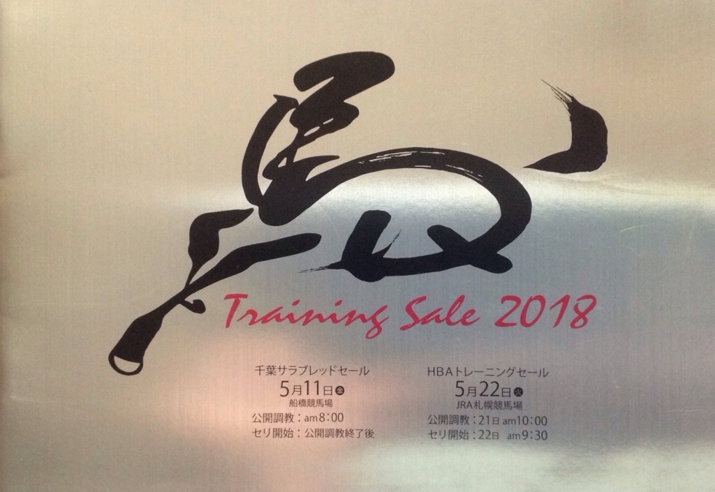 f:id:jnsk_jojo:20180604023509j:plain