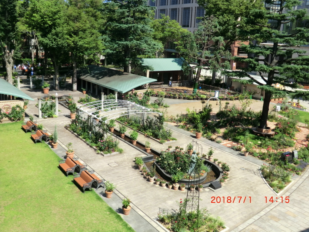 f:id:jnsk_jojo:20180703105343j:plain
