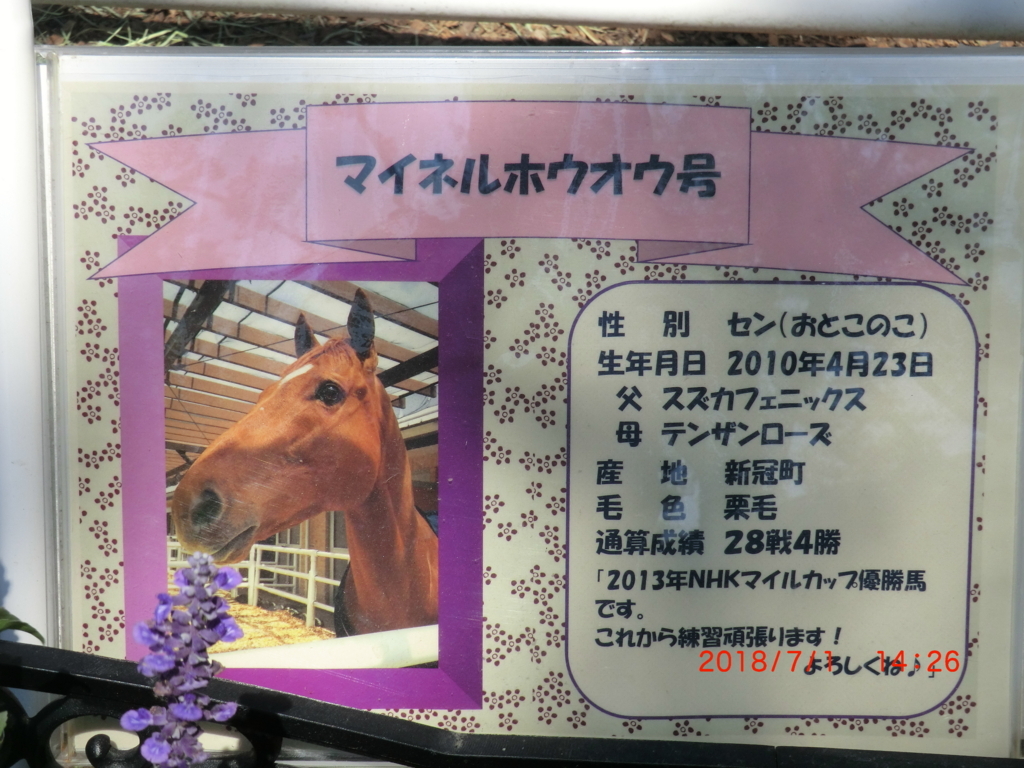 f:id:jnsk_jojo:20180703105530j:plain
