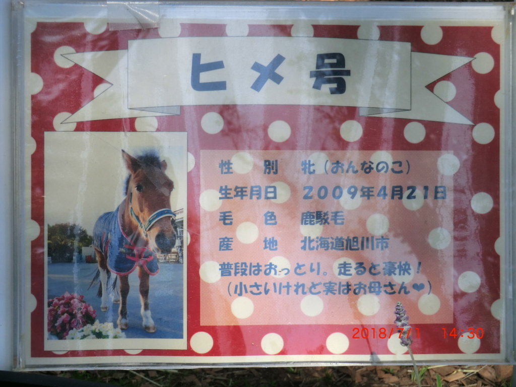 f:id:jnsk_jojo:20180703110103j:plain