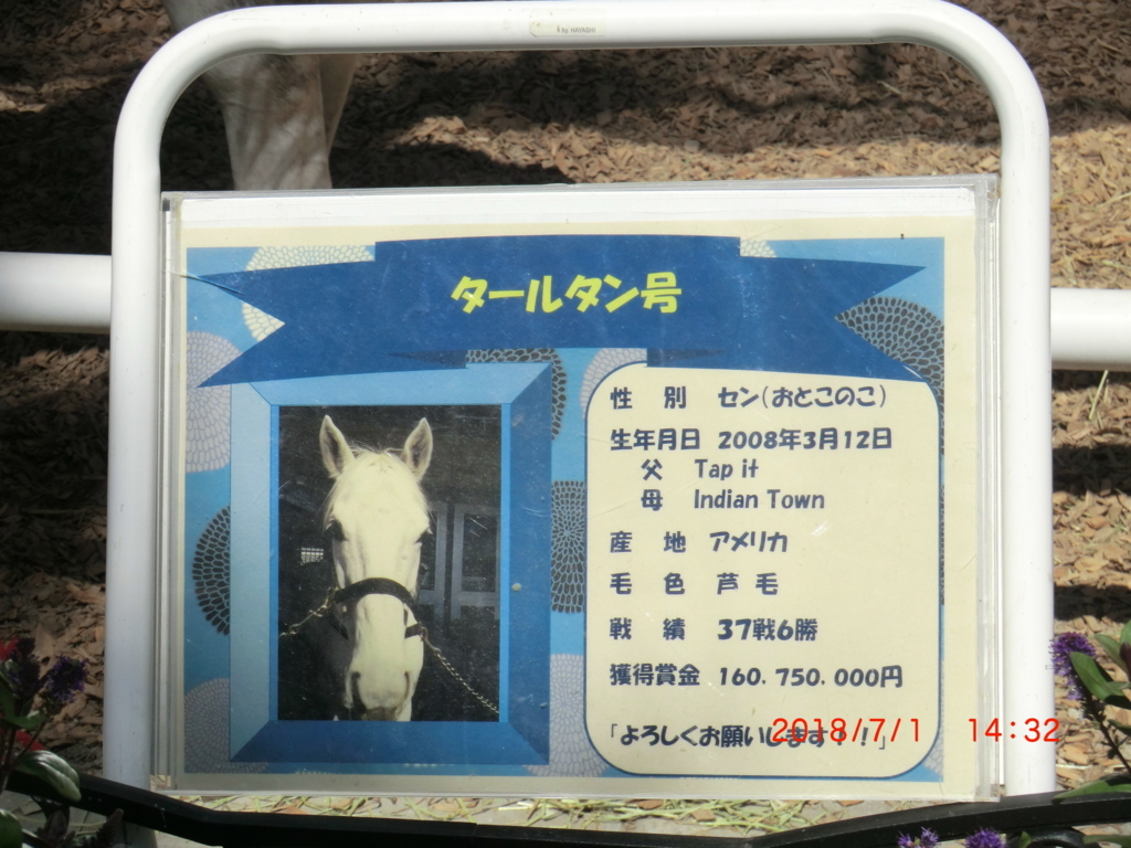 f:id:jnsk_jojo:20180703110307j:plain