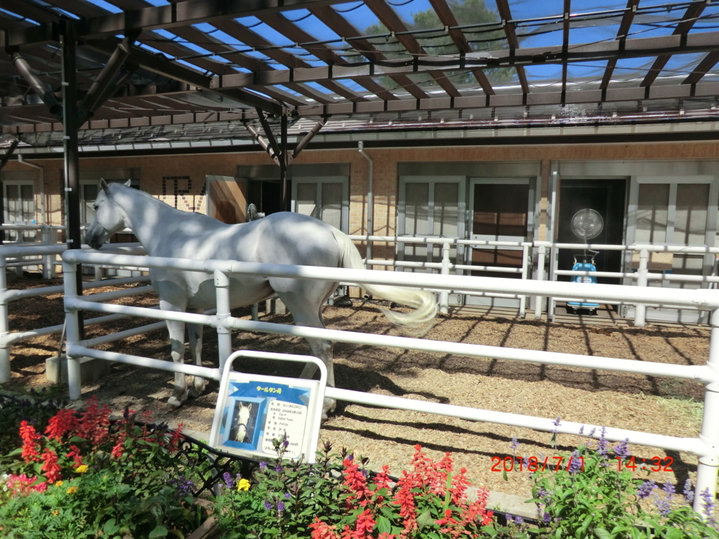 f:id:jnsk_jojo:20180703110332j:plain