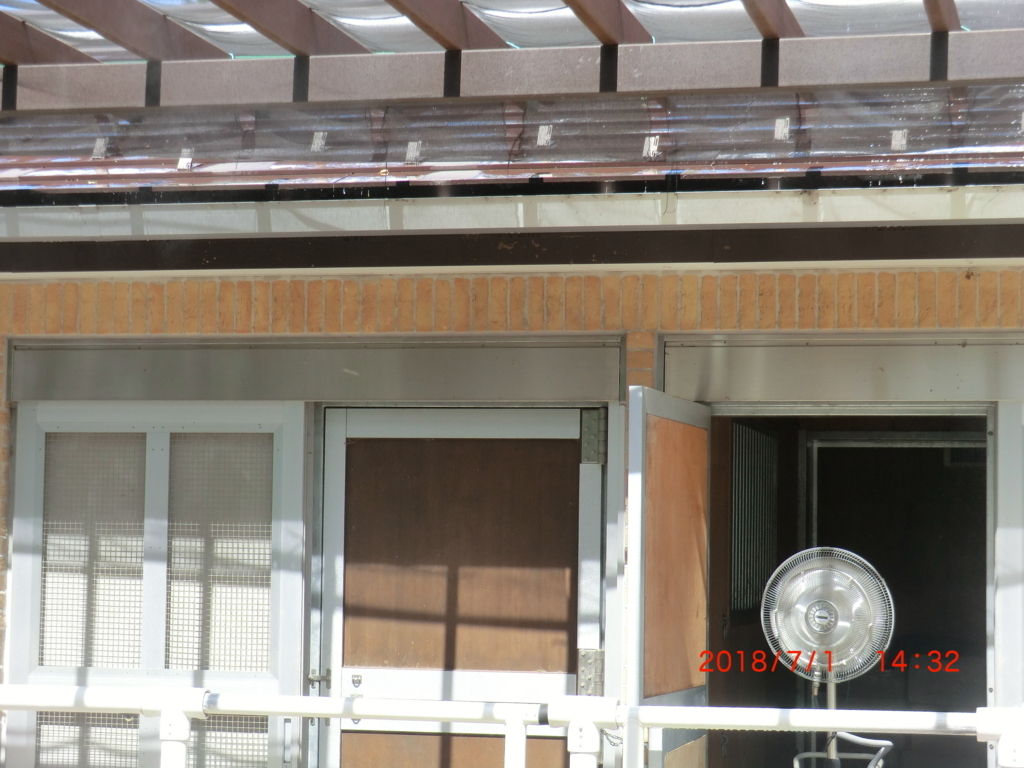 f:id:jnsk_jojo:20180703110358j:plain