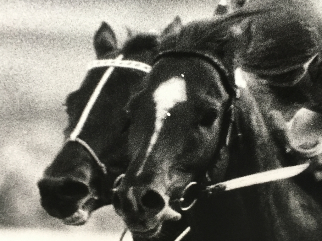 競馬パネル：テンポイント「1977年:第22回有馬記念」①』 - 白狸の考現