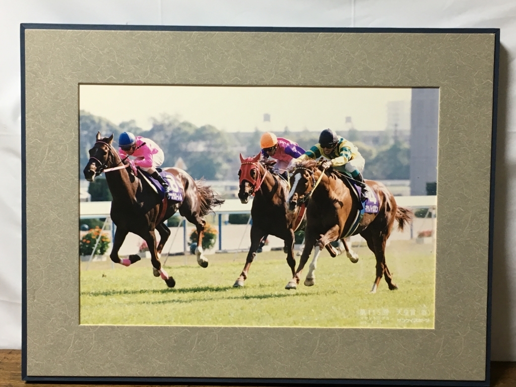 スペシャルウィーク　天皇賞春　競馬ブックパネル スペシャルウィーク 天皇賞春 競馬ブックパネル スペシャルウィーク