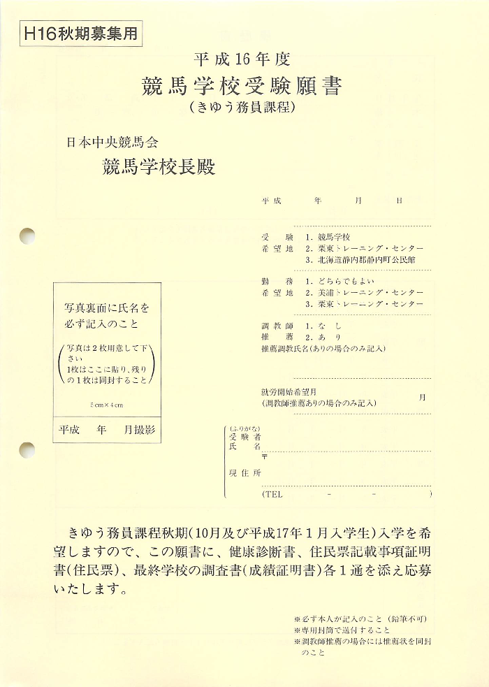 f:id:jnsk_jojo:20181229033501p:plain