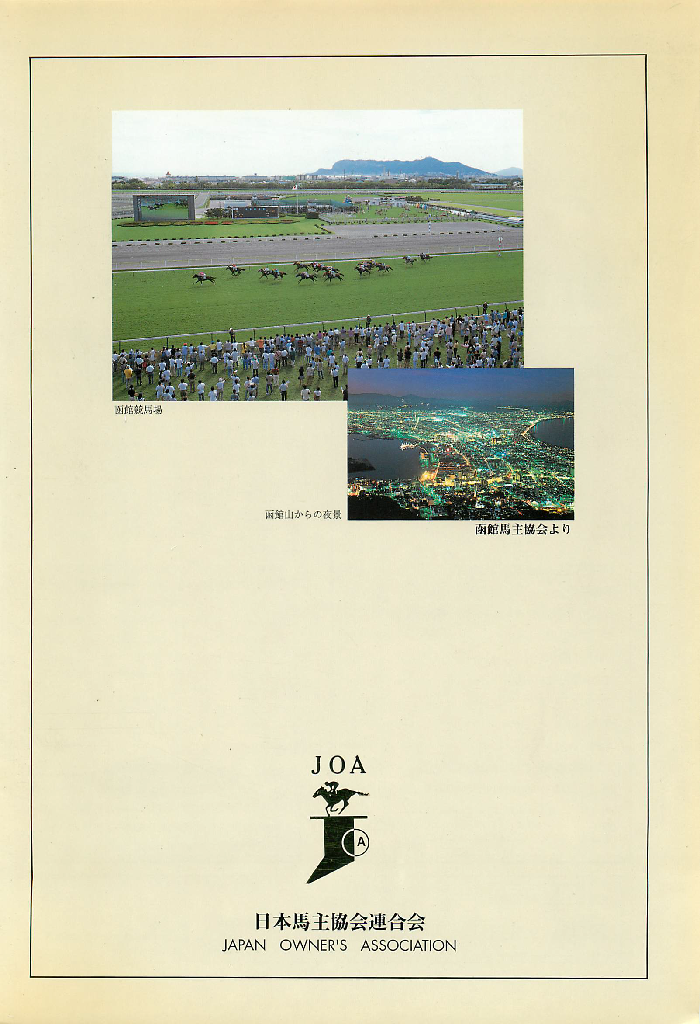 f:id:jnsk_jojo:20181229035747p:plain