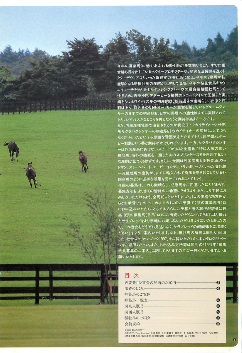 f:id:jnsk_jojo:20190629231540p:plain