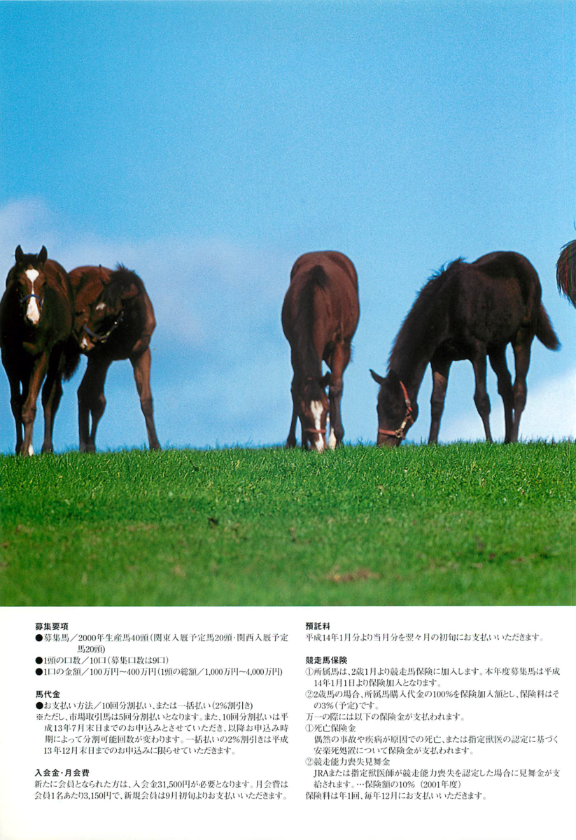 f:id:jnsk_jojo:20190629234347p:plain