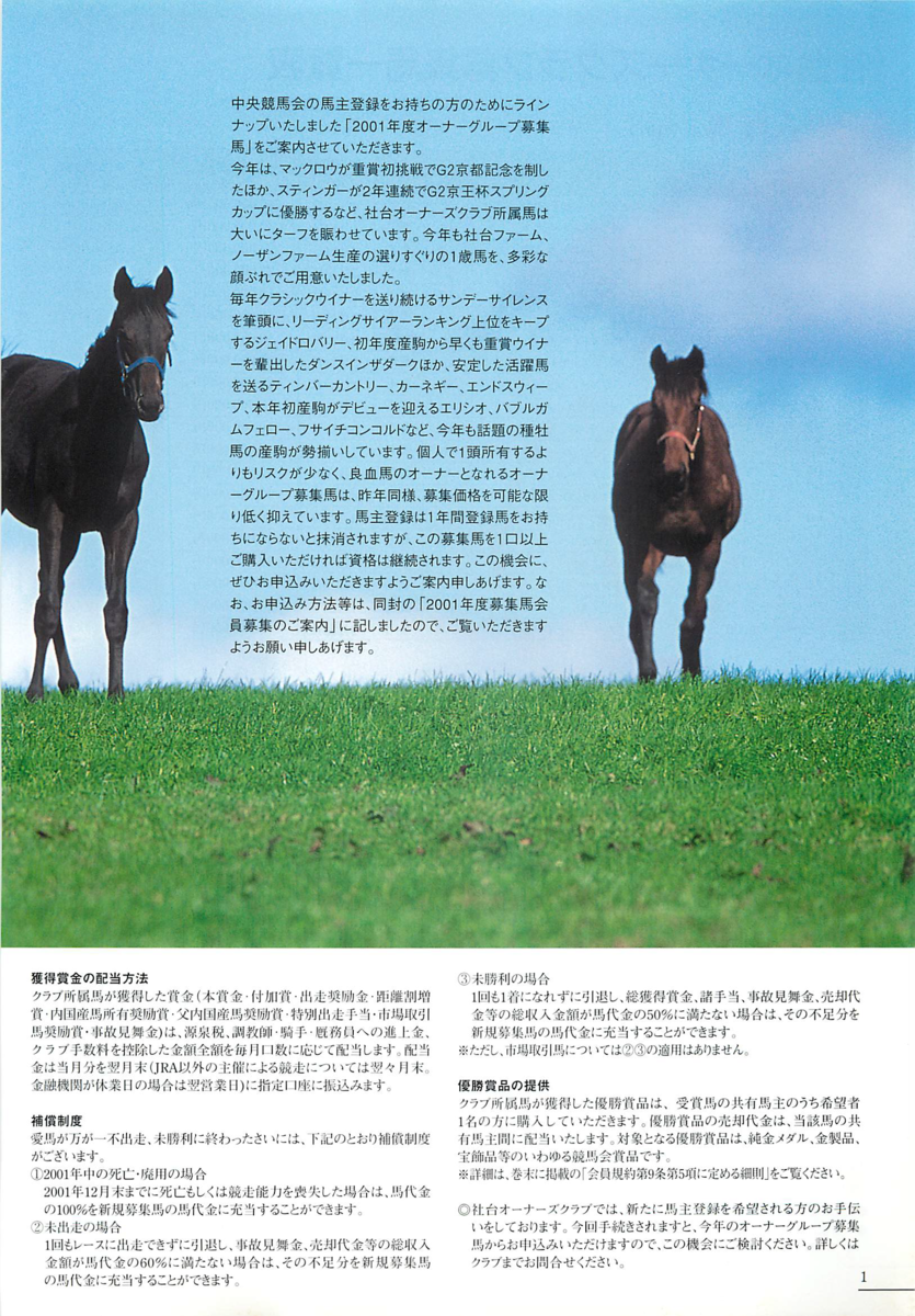 f:id:jnsk_jojo:20190629234355p:plain