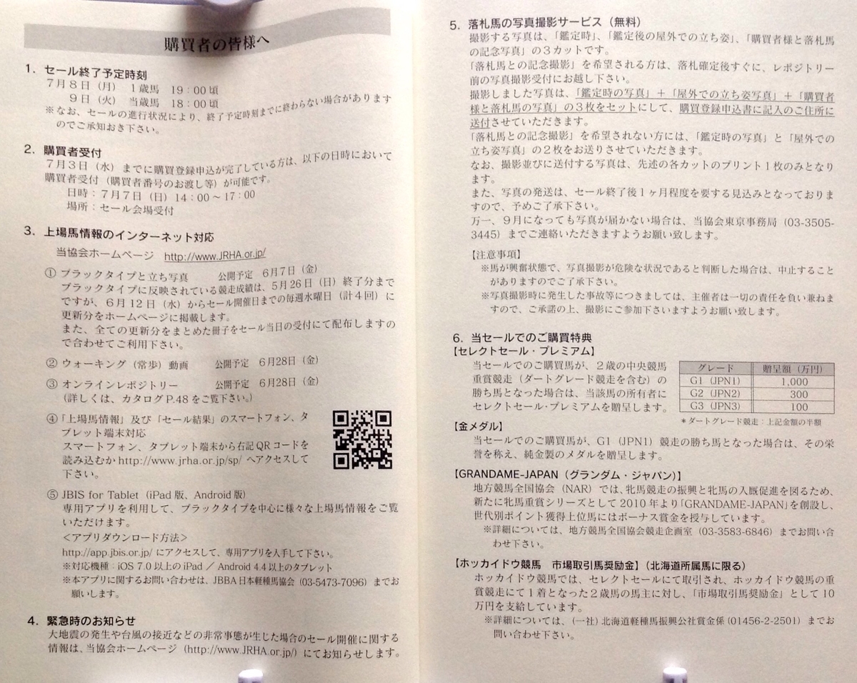 f:id:jnsk_jojo:20190717045342j:plain