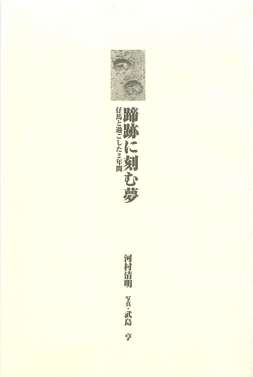 f:id:jnsk_jojo:20190731170239p:plain