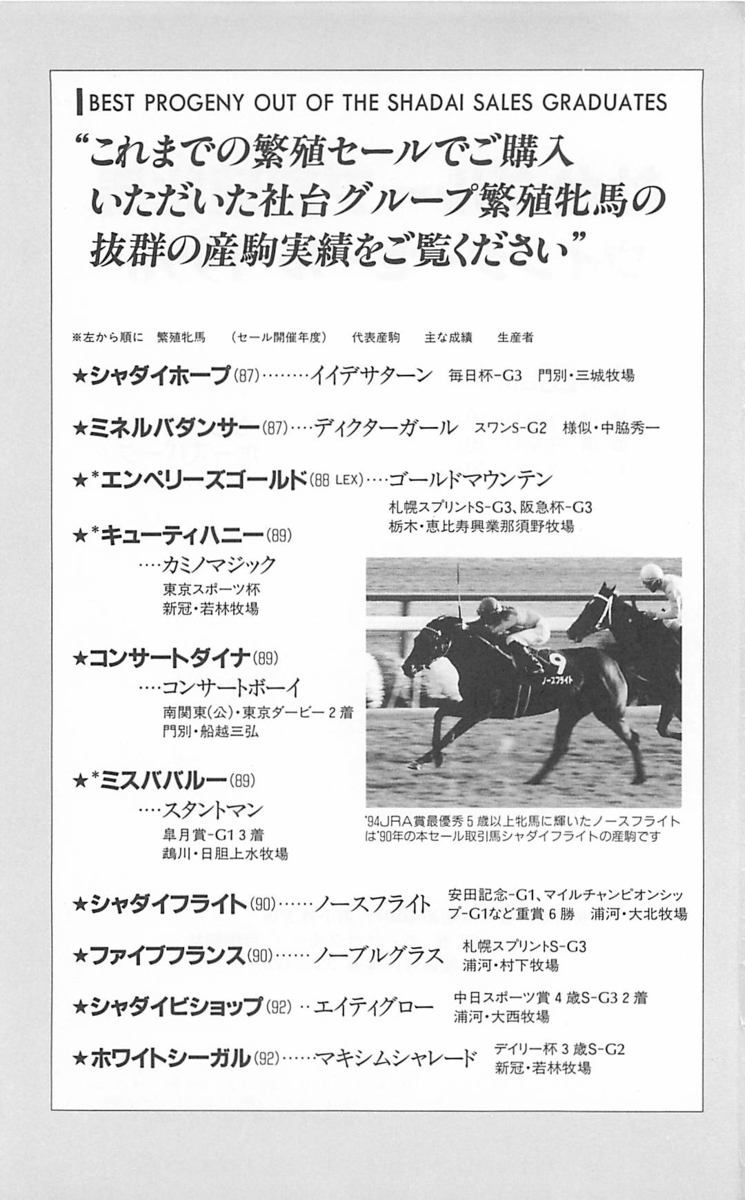 f:id:jnsk_jojo:20190731180539p:plain