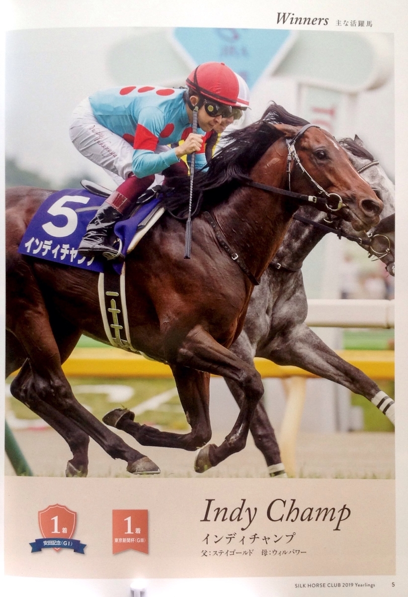f:id:jnsk_jojo:20190831222701j:plain
