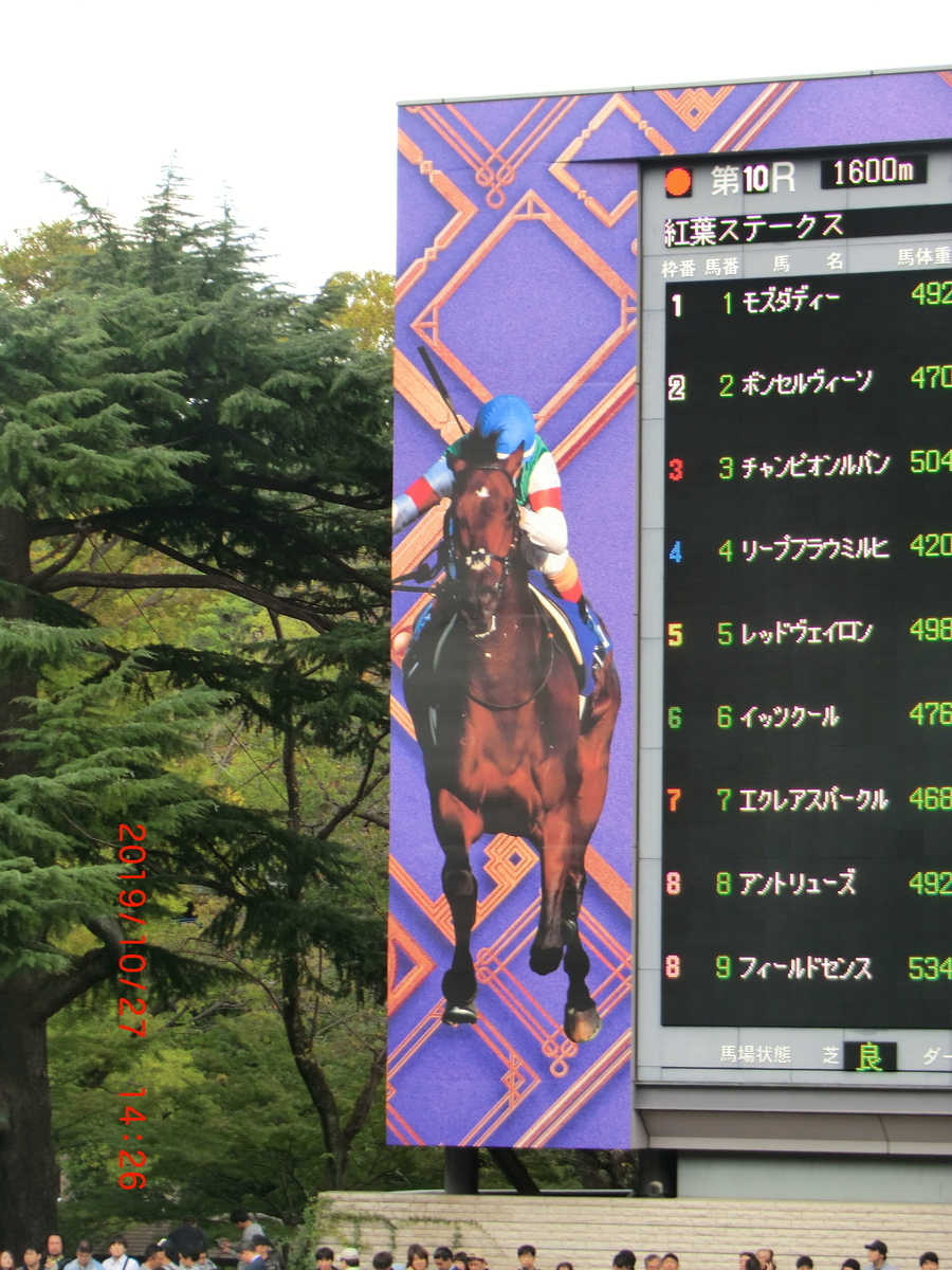 f:id:jnsk_jojo:20191031044611j:plain