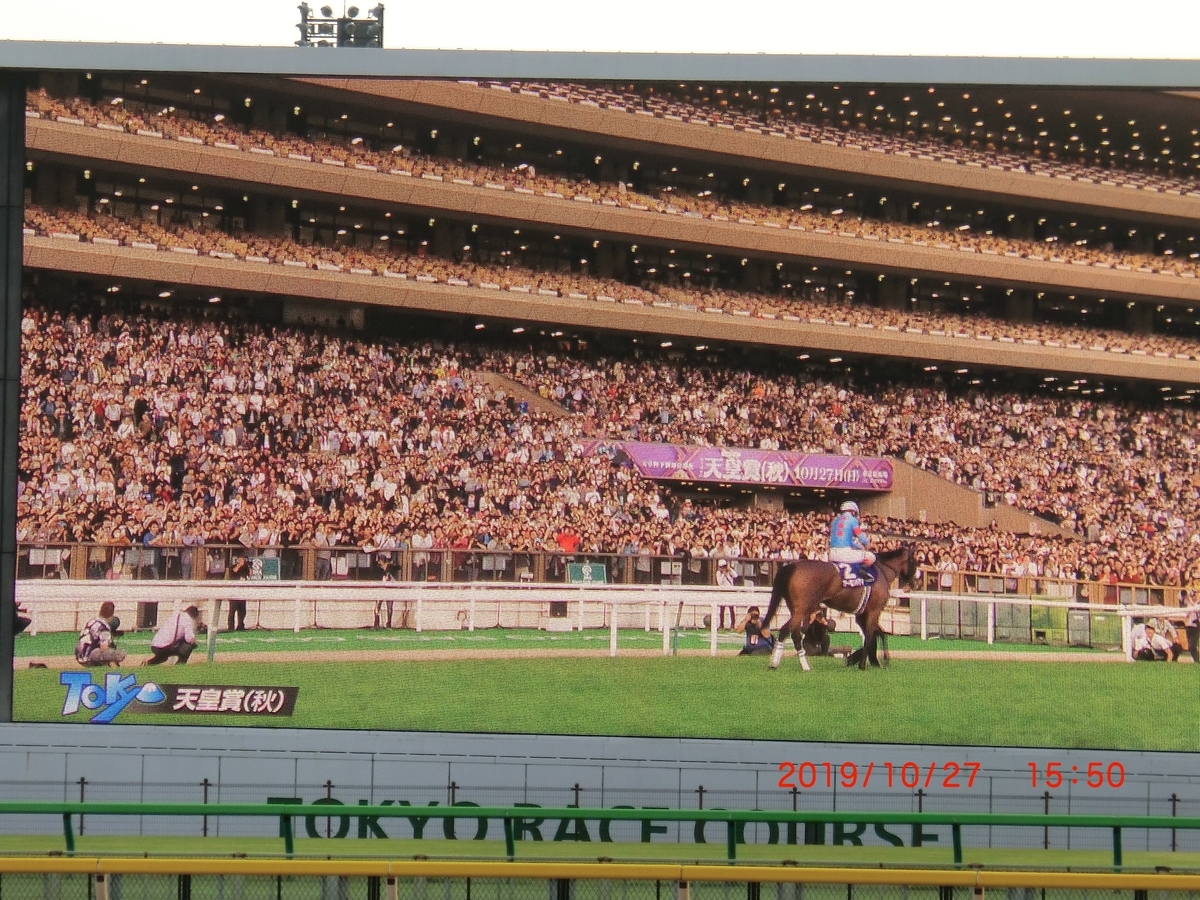 f:id:jnsk_jojo:20191031185416j:plain f:id:jnsk_jojo:20191031185416j:plain