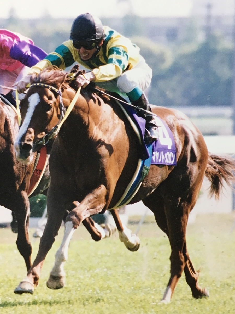 スペシャルウィーク　天皇賞春　競馬ブックパネル スペシャルウィーク 天皇賞春 競馬ブックパネル スペシャルウィーク