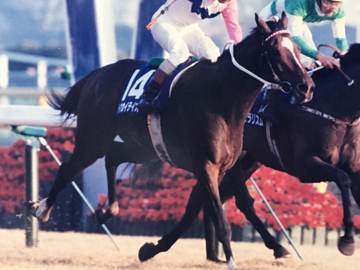 f:id:jnsk_jojo:20191031200026j:plain