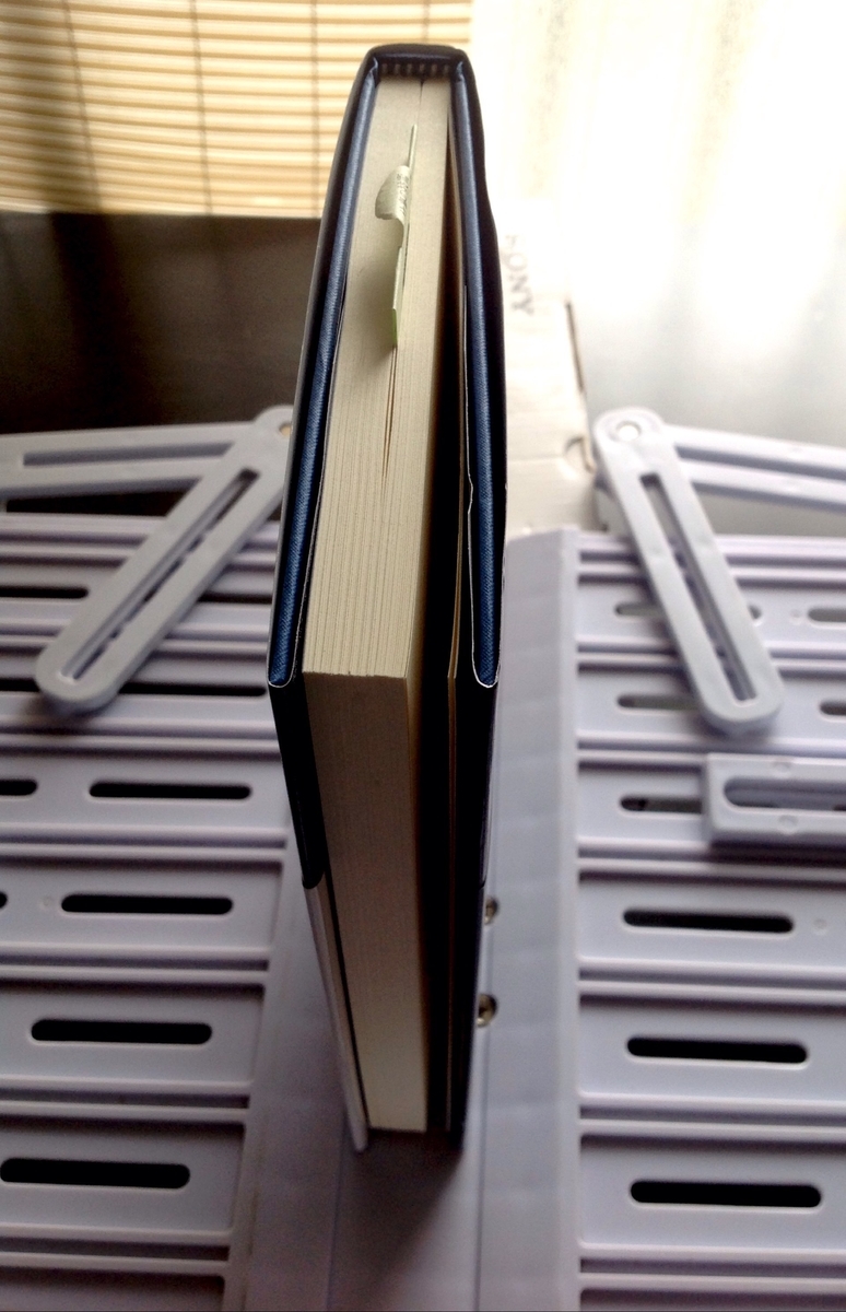 f:id:jnsk_jojo:20200301150807j:plain