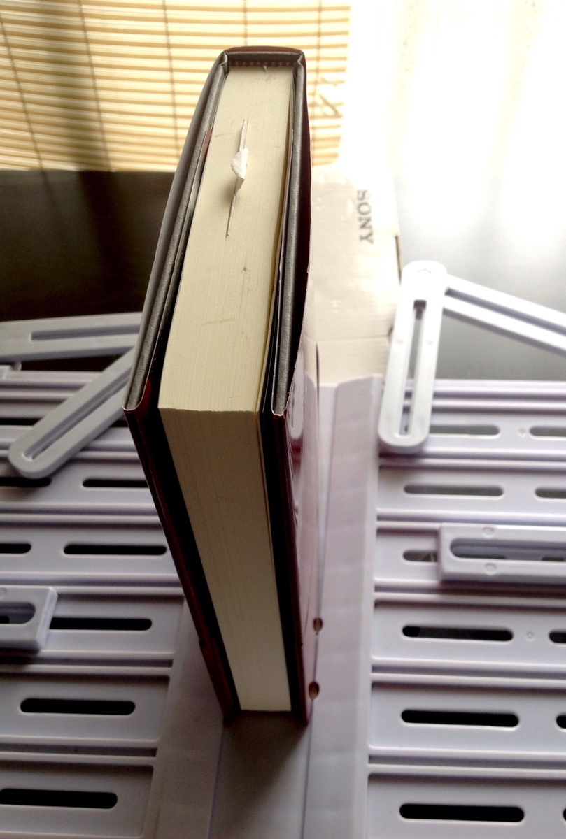 f:id:jnsk_jojo:20200301170422j:plain