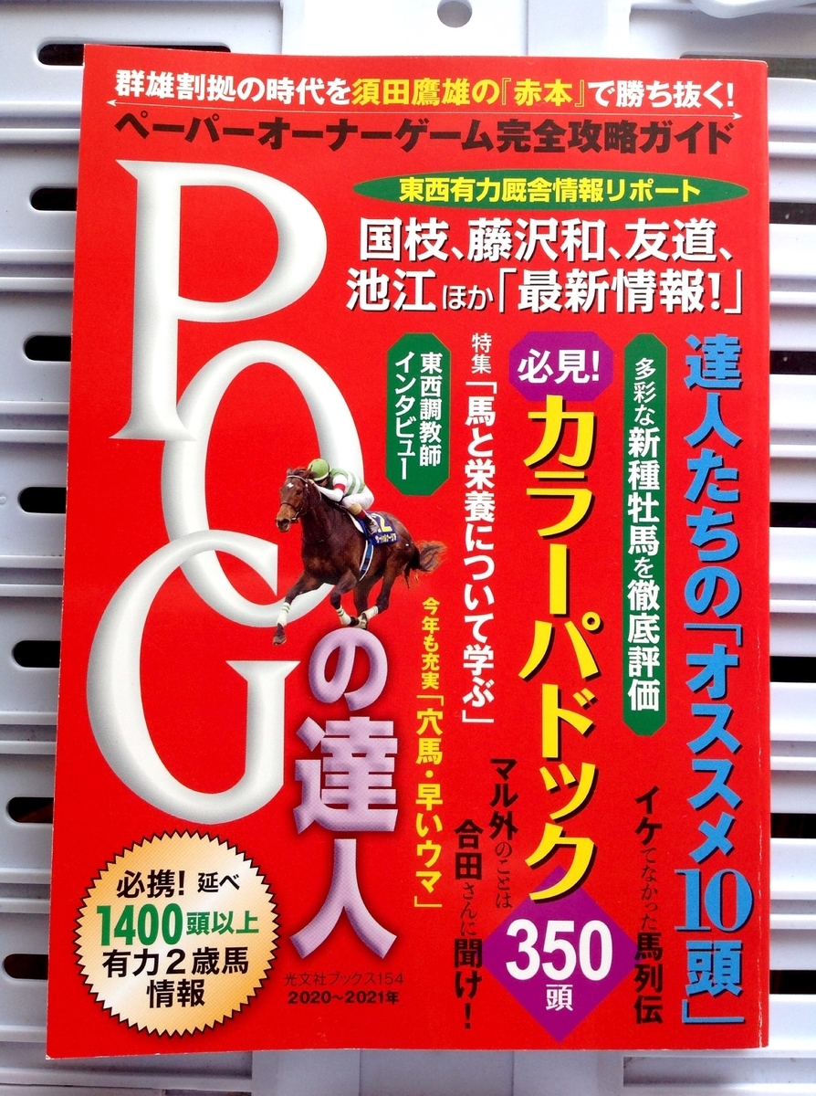f:id:jnsk_jojo:20200610022042j:plain