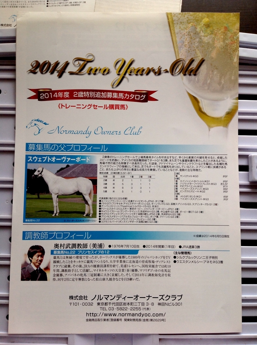 f:id:jnsk_jojo:20200619045305j:plain